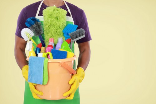 Deep carpet cleaning service removing dirt and stains