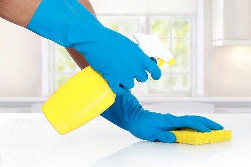 Professional carpet cleaning in a Parsons Green living room