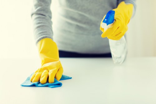 DIY versus professional upholstery cleaning in Parsons Green