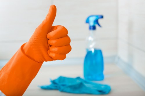 Sustainability-focused carpet cleaning service in Parsons Green