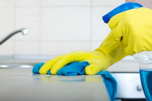 Upholstery and rug stain removal services in Parsons Green