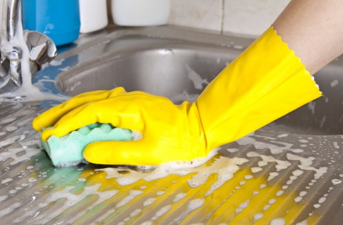 Professional pet stain odour removal in a Parsons Green home