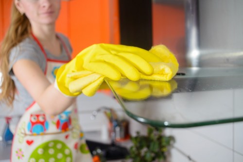 Enzyme cleaning process for pet urine stain removal