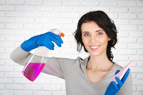 Cleaner applying carpet treatment with safety precautions