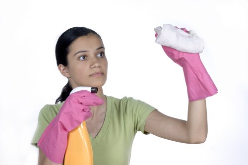 Stain treatment and fibre care for a rug in Parsons Green