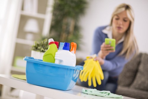 Fresh and clean home interior after pet odour treatment